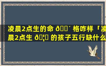 凌晨2点生的命 🌴 格咋样「凌晨2点生 🦟 的孩子五行缺什么」